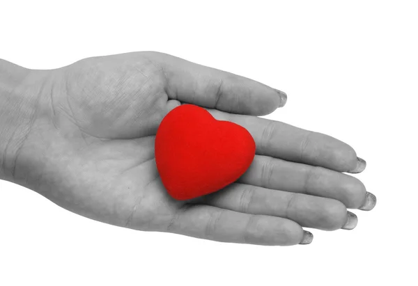 Heart on palm — Stock Photo, Image