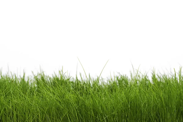 Mörk grönt gräs — Stockfoto