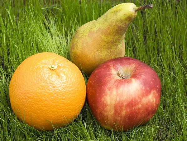 Fruits on grass — Stock Photo, Image