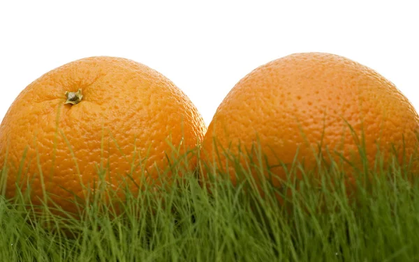 Апельсини на траві — стокове фото