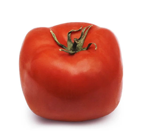 Square tomato — Stock Photo, Image