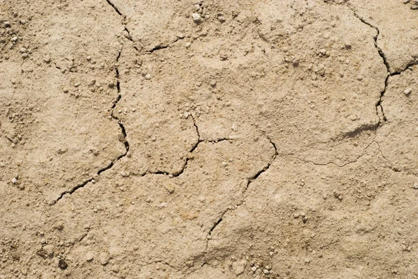Szczeliny na suchej ziemi — Zdjęcie stockowe