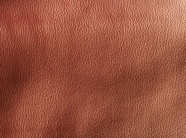 Rough leather — Stock Photo, Image