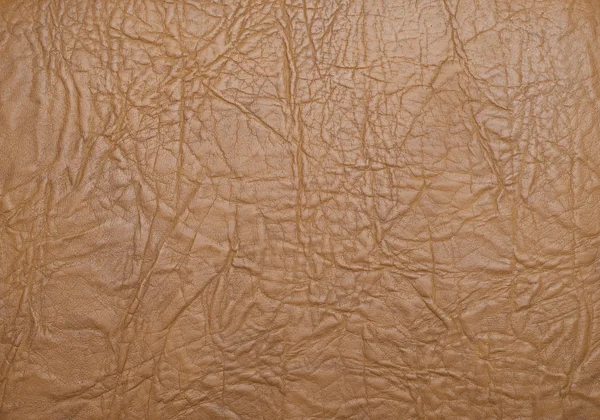 stock image Textured leather