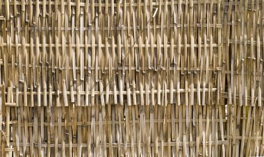 Bamboo fence clipart