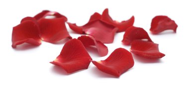 Rose petals clipart