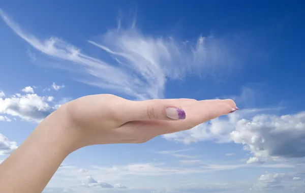 Hand on sky background — Stock Photo, Image