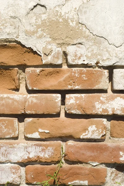 벽돌 질감 배경 — 스톡 사진