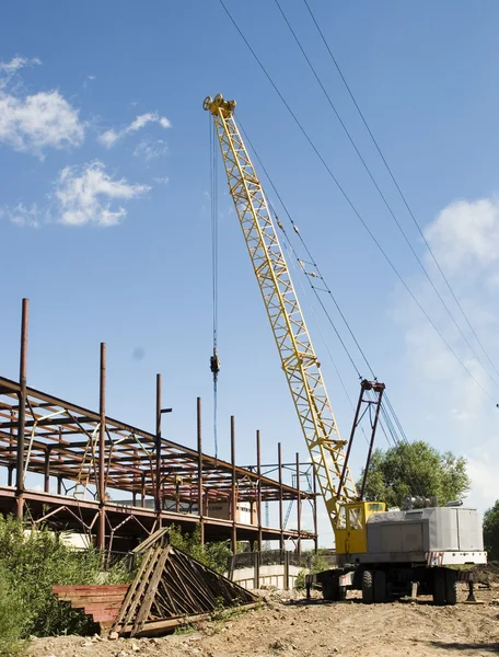 stock image Crane