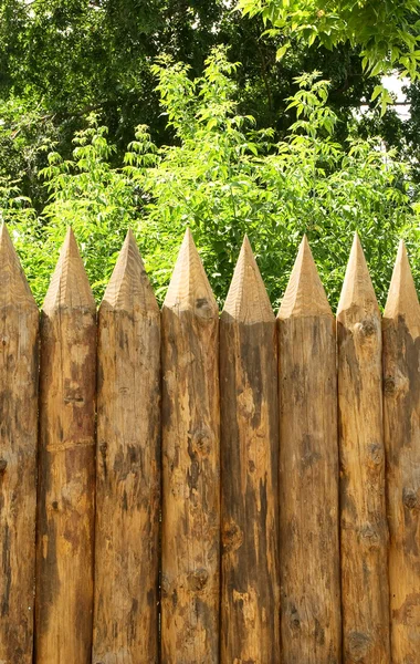 Fence and trees — Stock Photo, Image