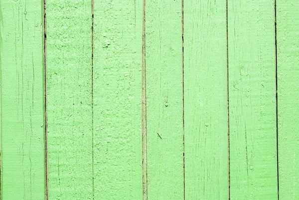 녹색 나무 배경 — 스톡 사진