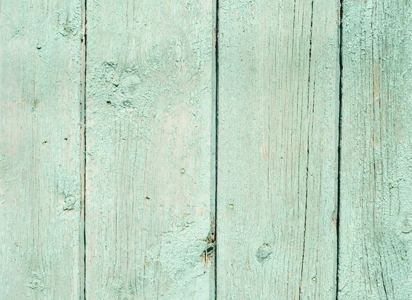 Paint wooden background — Stock Photo, Image