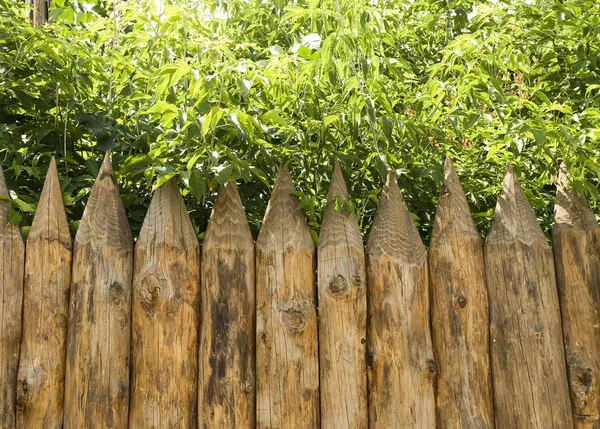 Wooden fence and trees — Stock Photo, Image