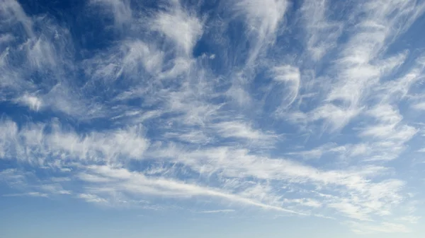 Pilvikasvu — kuvapankkivalokuva