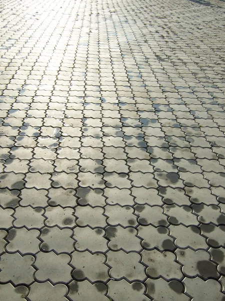 Pedras de pavimentação ornamentadas molhadas — Fotografia de Stock