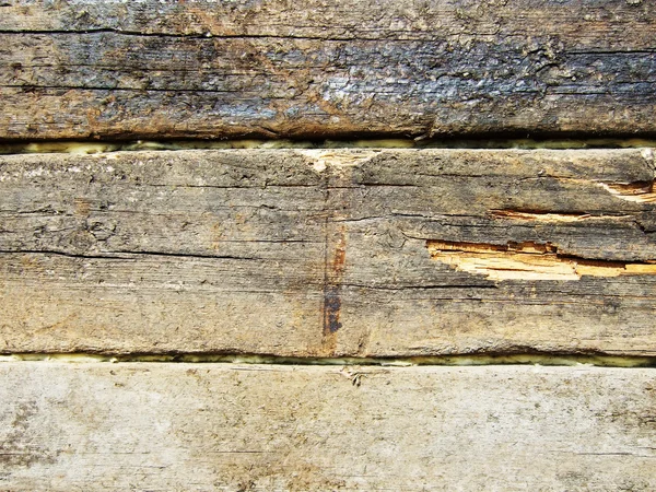 Wooden surface — Stock Photo, Image