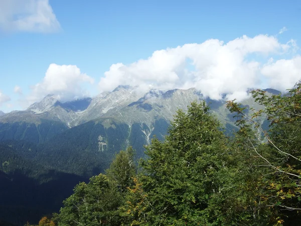 stock image Mountain