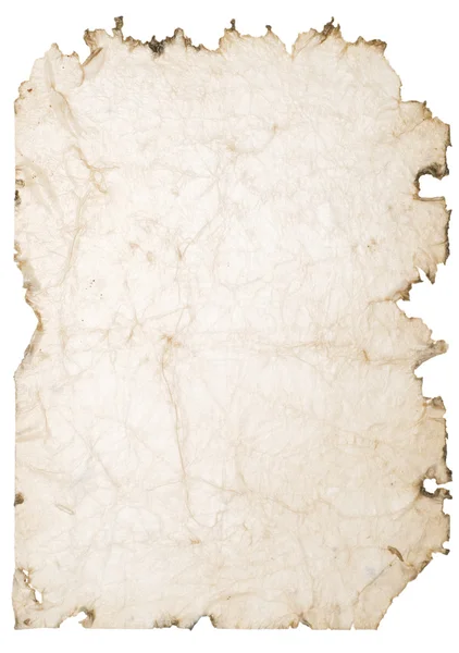Eski ıslak kağıt — Stok fotoğraf