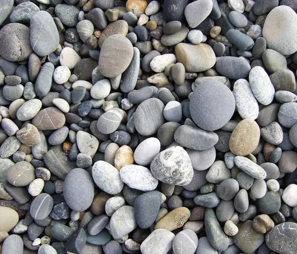 Pebbles bakgrund — Stockfoto