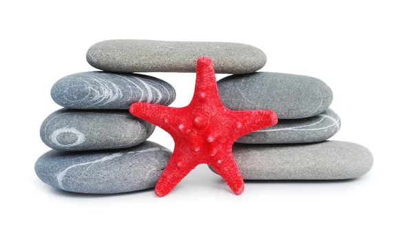 stock image Pebble bridge and starfish