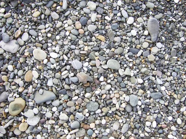 Pebbles bakgrund — Stockfoto