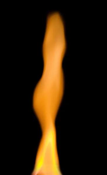 Krása plamen — Stock fotografie