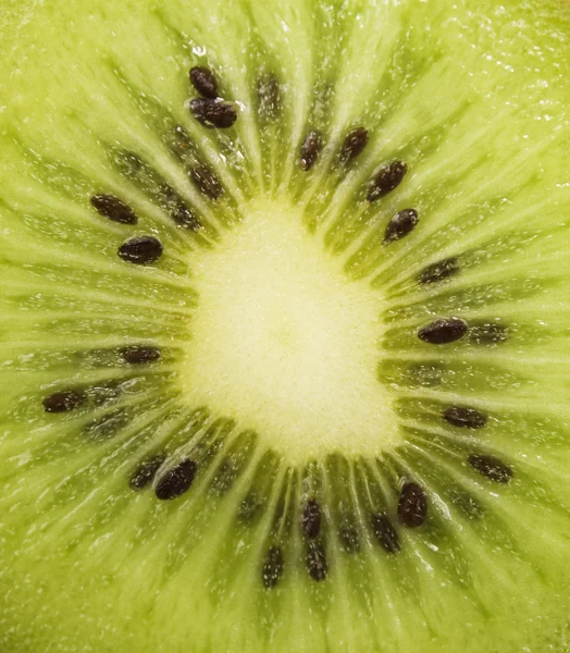 stock image Kiwi