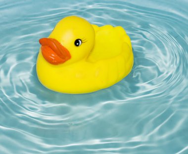 Rubber duck clipart