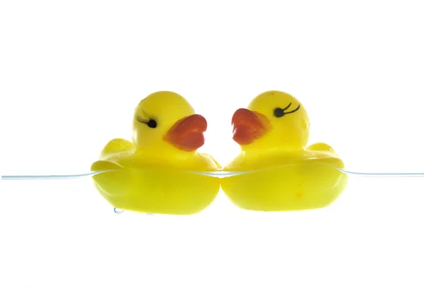Dwa gumowe kaczki — Zdjęcie stockowe