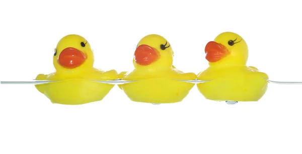 Rubber ducks — Stock Photo, Image
