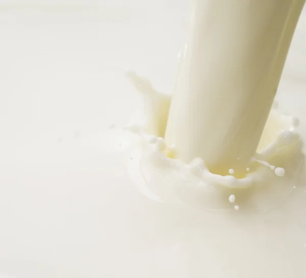 Milk — Stock Photo, Image
