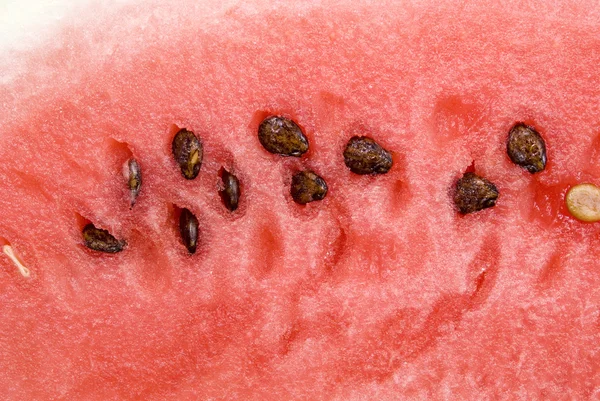 stock image Watermelon