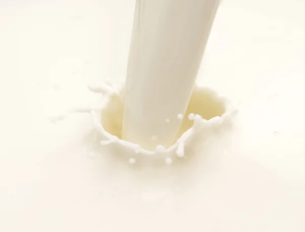 stock image Milk