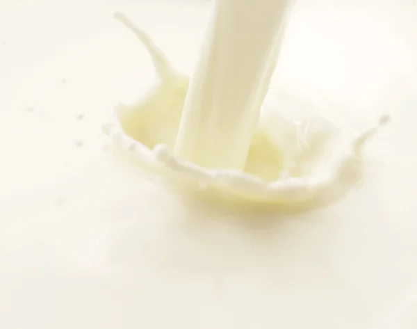 นม — ภาพถ่ายสต็อก