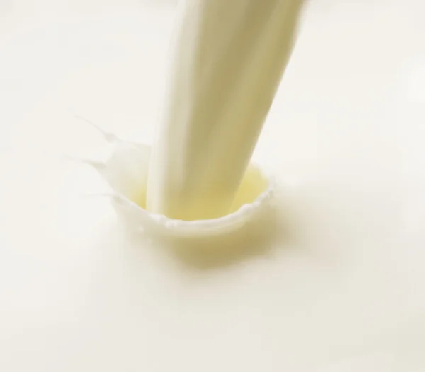 นมสาด — ภาพถ่ายสต็อก