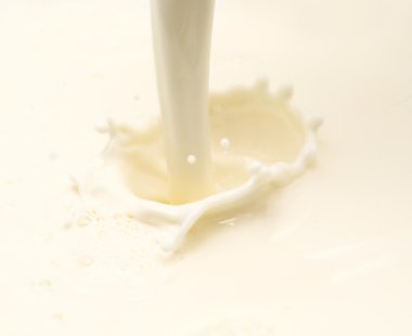 Süt Sıçratma