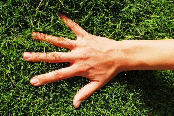 Mão na grama — Fotografia de Stock