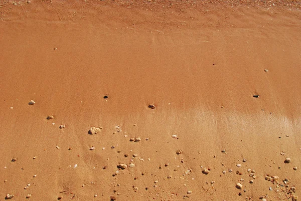 湿った砂 — ストック写真