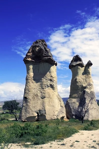 Stone mushrooms in Cappadocia — Stock Photo, Image