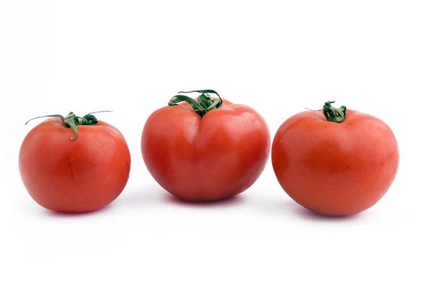 stock image Tomatoes on the white background