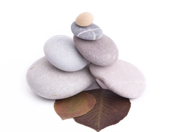 石头与枫叶 — 图库照片