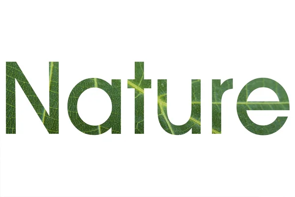 Natura — Foto Stock