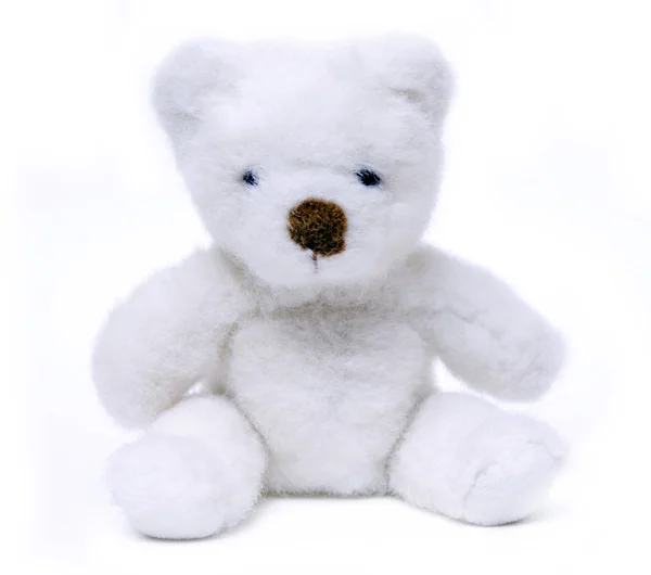 Orso bianco giocattolo isolato su uno sfondo bianco Immagini Stock Royalty Free