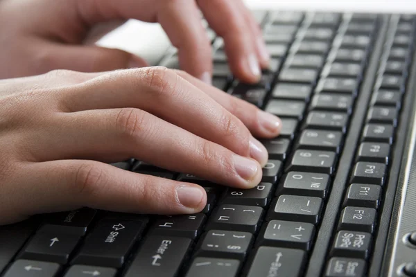 stock image female hands on a keyboard