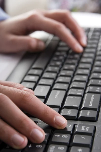 stock image female hands on a keyboard