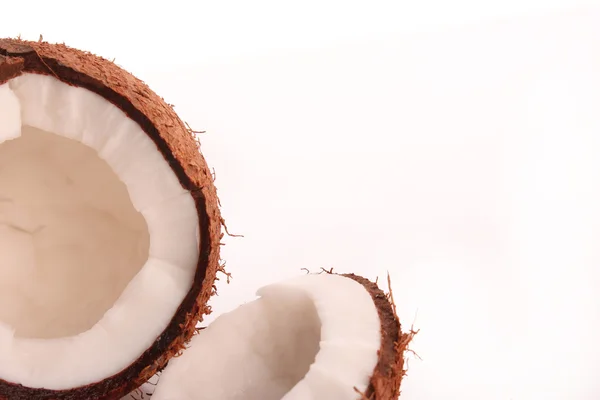 Branco de coco — Fotografia de Stock