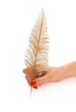 Gold feather clipart