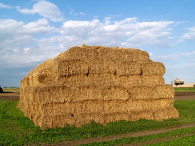 Bale of haystack clipart