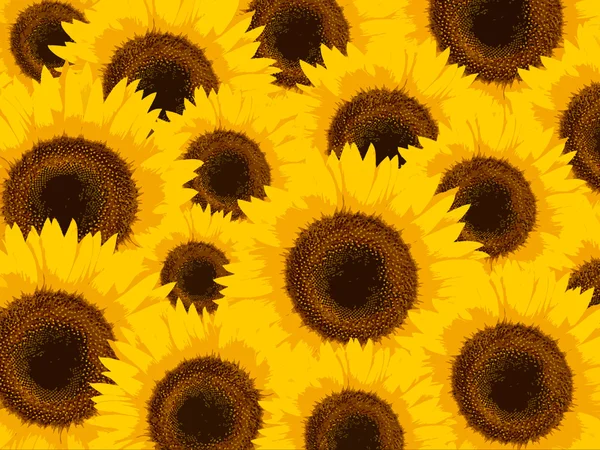 Stylized sunflowers — Stock Photo, Image