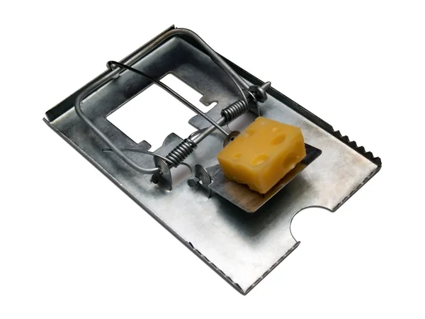 Free cheese — Stock Photo, Image